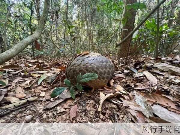 穿山甲的独特捕食技巧