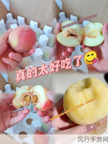 一人 上面 下感扇贝水蜜桃-感受水蜜桃的清甜,畅享扇贝的鲜美滋味。