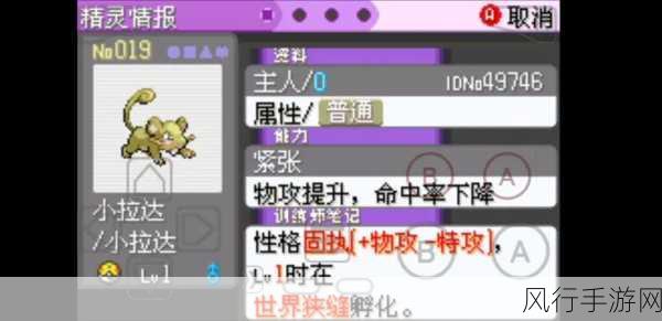 宝可梦大探险拉达技能搭配全攻略,解锁战斗新高度
