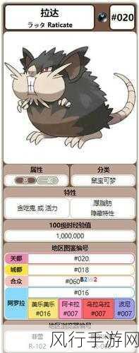宝可梦大探险拉达技能搭配全攻略,解锁战斗新高度