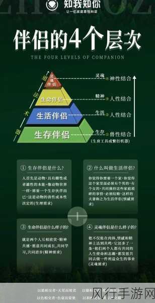 西方137大但人文艺的含义-重新定义西方137大与人文艺术的深层关系和影响力