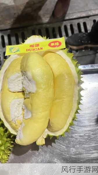 榴莲视频男女-榴莲的魅力:男女互动中的热情与趣味