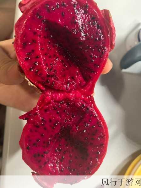 揭开红心火龙果果肉呈红色的神秘面纱