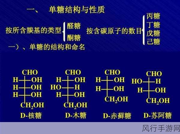 探究葡萄糖命名之谜