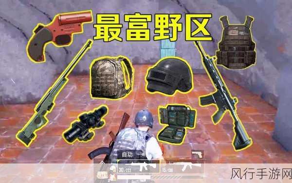 绝地求生刺激战场信号枪,解锁胜利先机的钥匙