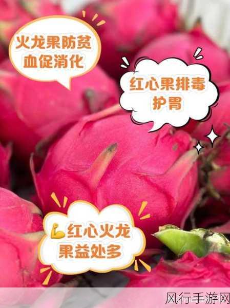 探索红心火龙果红色的奥秘