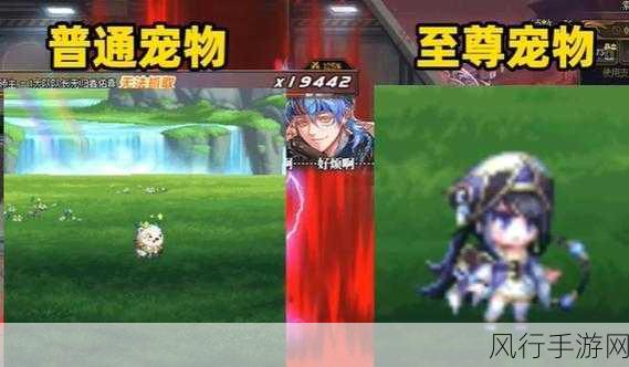 DNF2023春节套宠物炫彩登场，解锁全新冒险伙伴的经济潜力