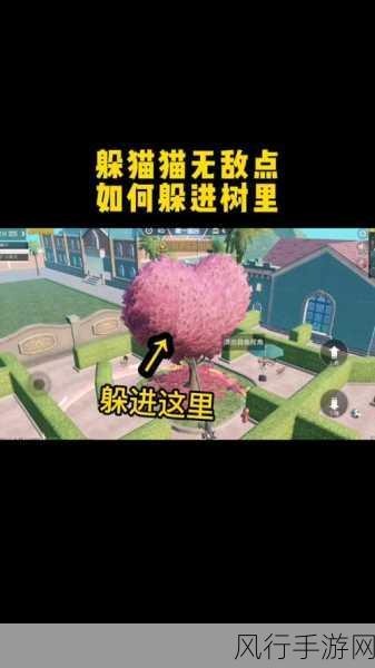 和平精英躲猫猫模式,新手攻略与战略深度解析