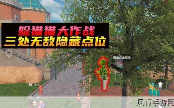 和平精英躲猫猫模式,新手攻略与战略深度解析