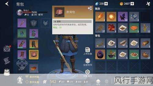 冰原守卫者，背包扩容秘籍与财经数据大揭秘