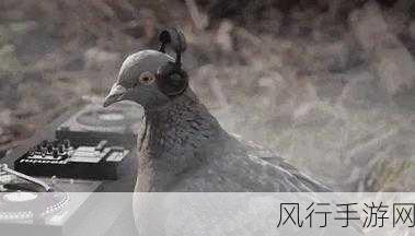 探究鸽子走路点头之谜