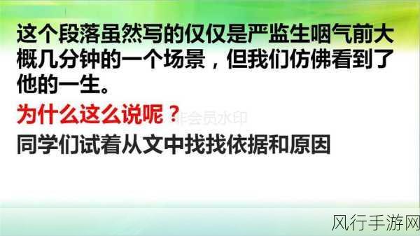 羞羞的网业-探索羞羞的网络世界，发现无穷魅力与乐趣