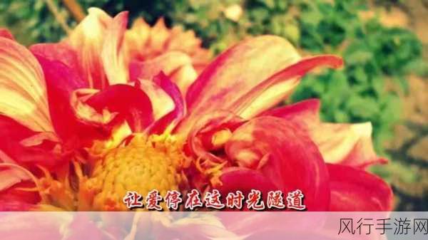 白天摸摸哒晚上摸摸哒是什么歌-白天轻松欢乐摸摸哒,夜晚浪漫温馨摸摸哒