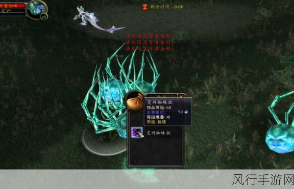 探寻魔兽世界怀旧服灵网蜘蛛丝的神秘出处