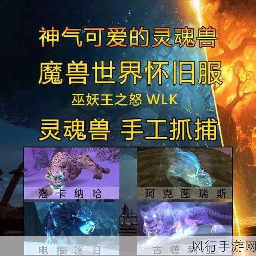 探寻魔兽世界中洛卡纳哈宝宝的神秘踪迹