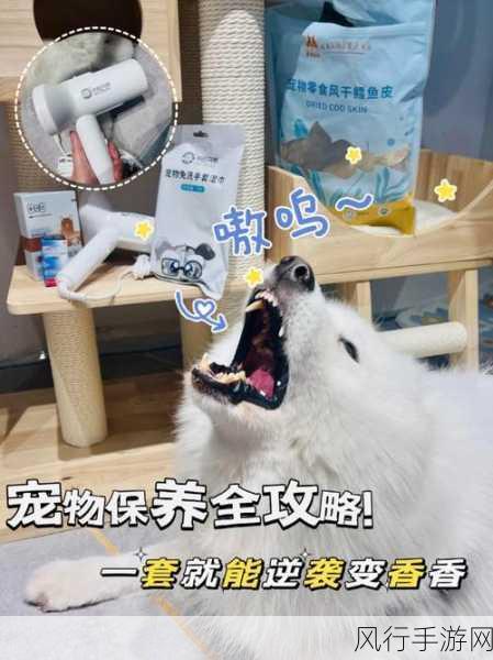 伊洛纳宠物养成攻略,解锁强力宠物与培养秘籍