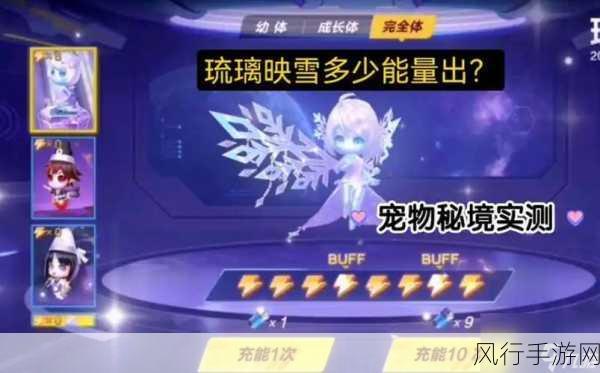 QQ飞车手游,星梦精灵与雪域狮王,哪个宠物更具投资潜力?