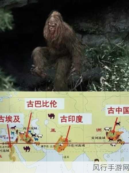 无人区码一码二码w358cc-探索无人区的奥秘：揭秘码一码二码w358cc背后的故事