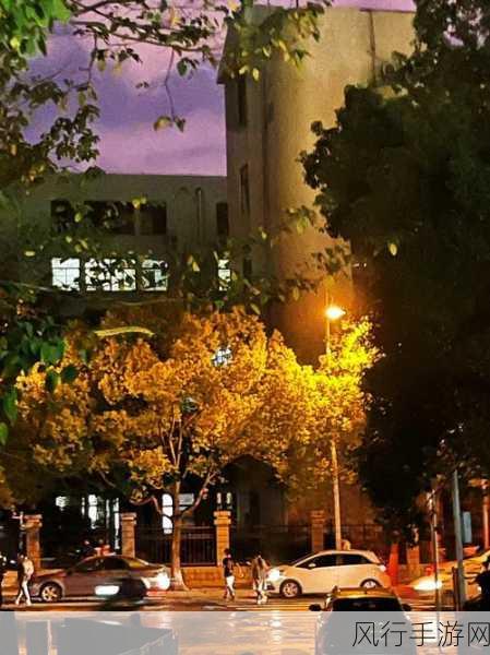 十大夜用app-探索十大夜间生活必备应用程序,提升你的夜晚体验