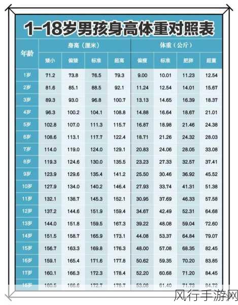 请你确认超过18周岁-确认超过18周岁：如何有效验证年龄信息的准确性与合法性