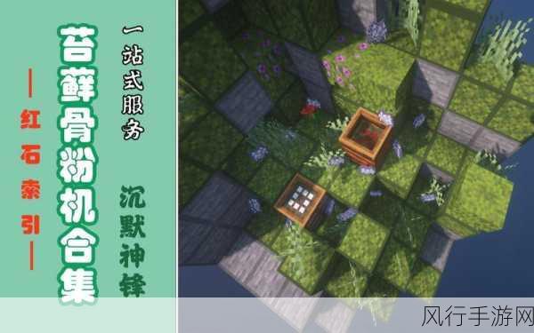 我的世界苔藓获取攻略,解锁财富与创意的新篇章