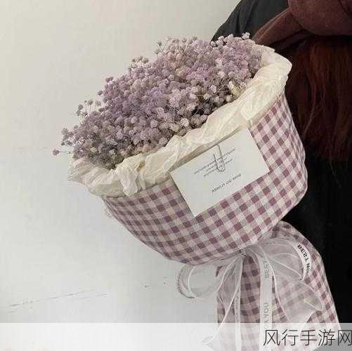 法国满天星酒店服务生人物-法国满天星酒店:服务生的温暖故事与不凡经历