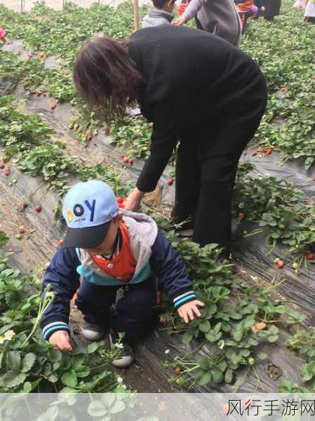 草莓黄视频-探索草莓黄视频的魅力与创意，开启全新视角之旅。