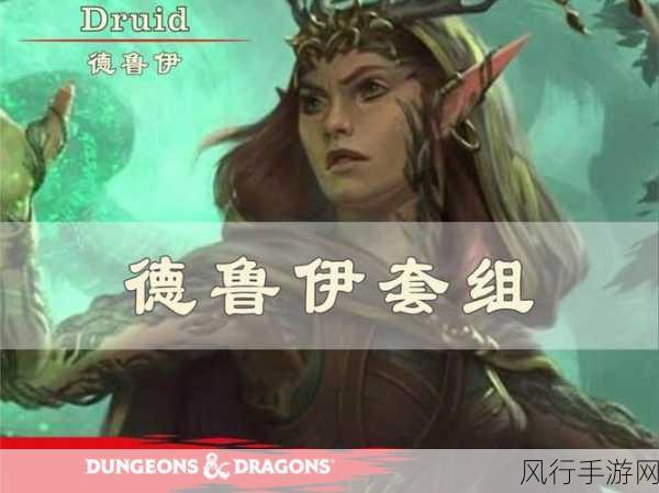 德鲁伊可以使用的武器有哪些-德鲁伊在《龙与地下城》中可使用的武器拓展介绍