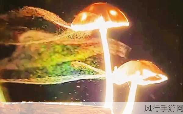 泰拉瑞亚蘑菇孢子获取攻略,解锁财富与战力的双重密钥