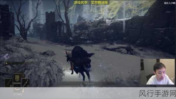 艾尔登法环,攻击属性深度剖析与实战价值探索