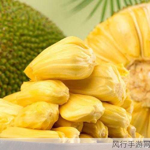 菠萝蜜视频高清免费看亮点-畅享高清菠萝蜜视频,尽览精彩亮点与新体验!
