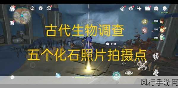 原神古代生物调查,拍摄点全攻略与财经数据分享