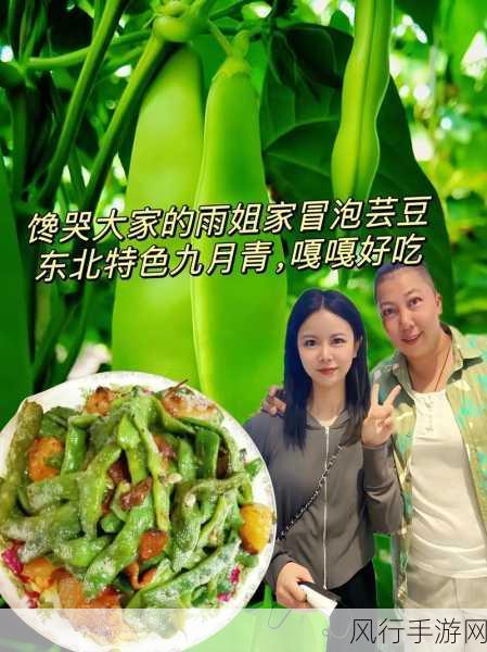 探寻九月青豆角的产地之谜