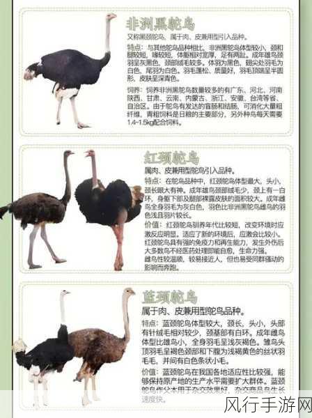 人马畜禽共性关系的重要性-深入探讨人畜禽共生关系的重要性与影响