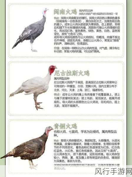 人马畜禽共性关系的重要性-深入探讨人畜禽共生关系的重要性与影响