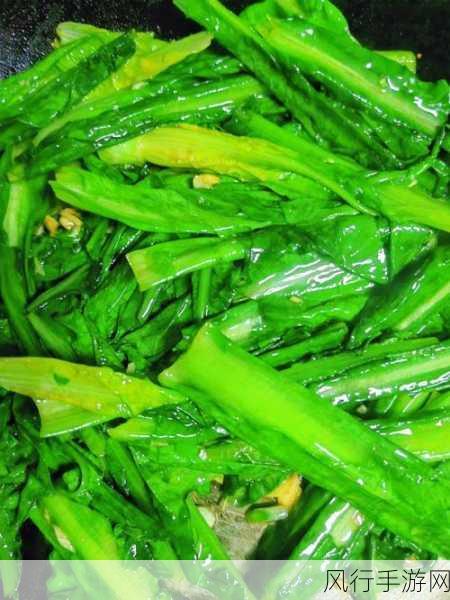 探寻油麦菜的蔬菜亲缘之谜