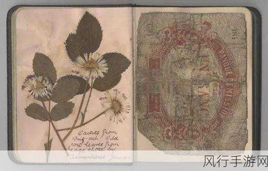 捻压花核-深入探索捻压花核技术的应用与创新发展