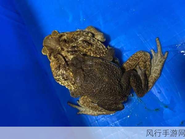 八挂海痉挛口吐白沫-八挂海痉挛引发口吐白沫的神秘现象探讨