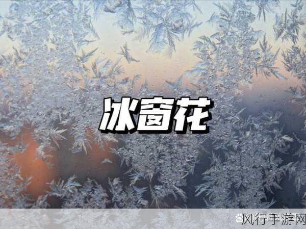 探寻冬天窗户上的冰窗花之谜