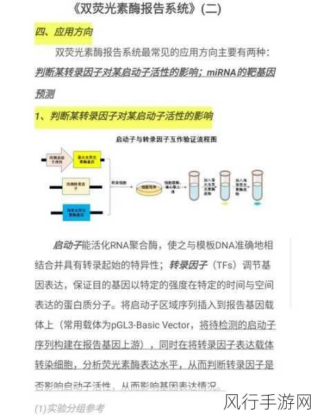gusactivatorpro注册-如何成功注册GusActivatorPro并激活其所有功能