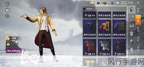 和平精英仓库衣服处理策略,最大化玩家资产价值