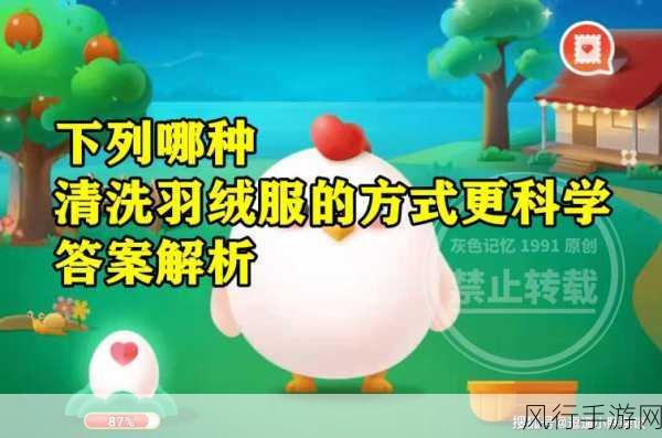蚂蚁庄园中关于含绒量 100%羽绒服的探秘