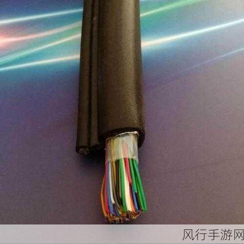 欧亚专线w码的区别o-拓展欧亚专线W码与O码的主要区别分析
