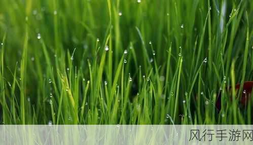 神马嫩草影视-全新体验,探索神马嫩草影视的无限魅力与精彩内容