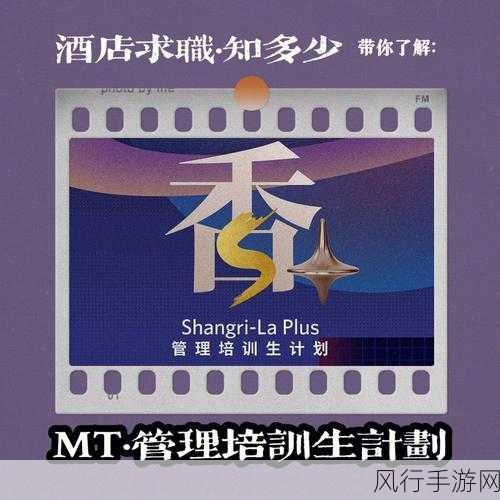 满天星酒店服务生-“满天星酒店服务生的多元化职业发展与培训计划”