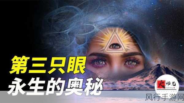 探寻一板一眼中眼的奥秘