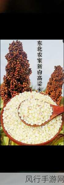 努力耕耘自己的女儿小米-倾心培育女儿小米,努力耕耘美好未来。