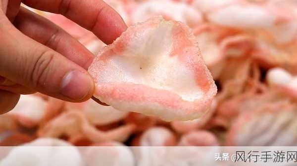 探秘玉兰片,美味背后的秘密