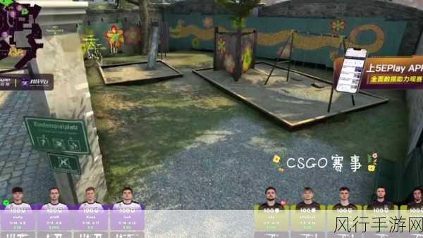 55岁大妈玩csgo背后故事-55岁大妈亲历CSGO游戏世界的成长与挑战
