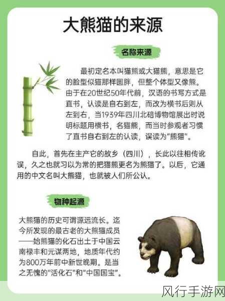 探寻大熊猫在古代的神秘称呼